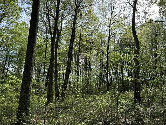 TBD Mcnair Rd, Albright, WV 26519