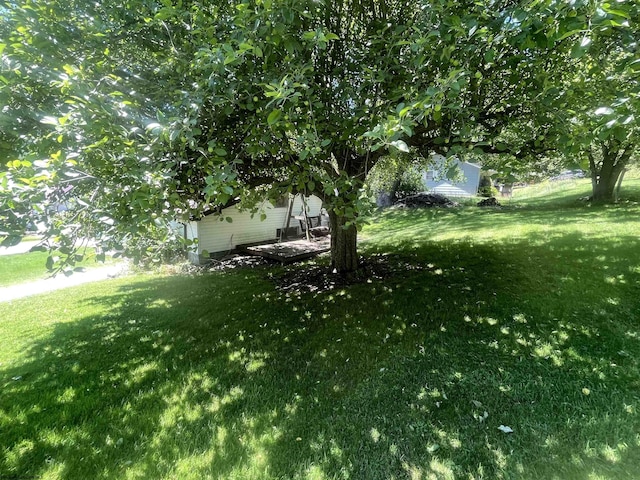 36 3rd St, Durbin, WV 26264 - view of green lawn