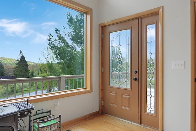16 Cardinal Ln, Terra Alta, WV 26764 - entrance foyer with light wood finished floors and baseboards