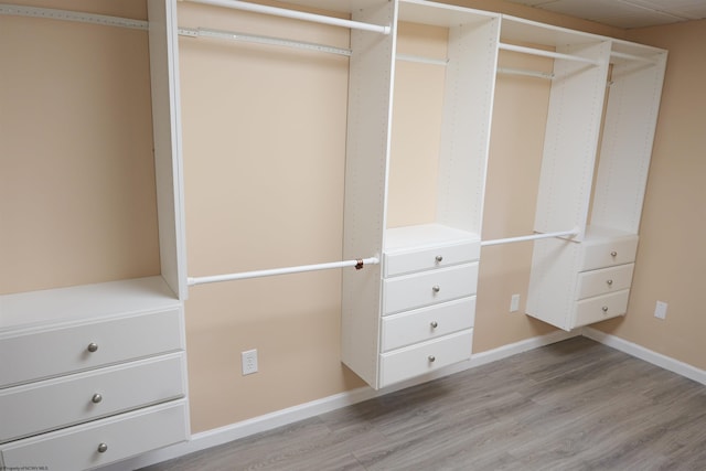 16 Cardinal Ln, Terra Alta, WV 26764 - view of closet