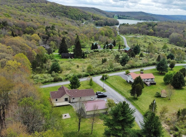 16 Cardinal Ln, Terra Alta, WV 26764 - view from above of property featuring a heavily wooded area and a large body of water