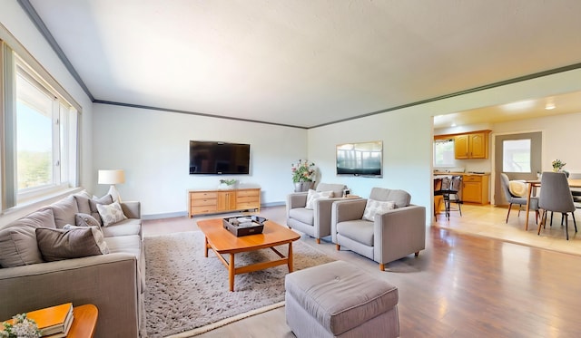 living area featuring light wood finished floors and ornamental molding