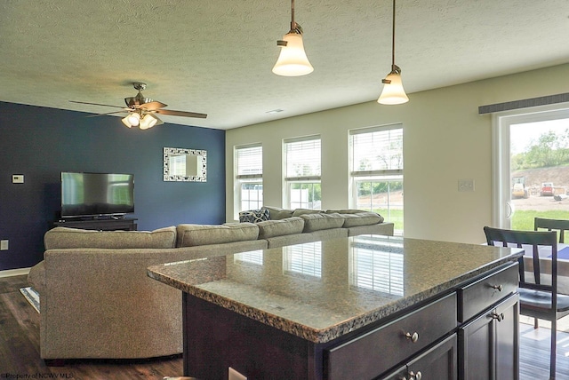 kitchen with dark wood finished floors, plenty of natural light, and a textured ceiling