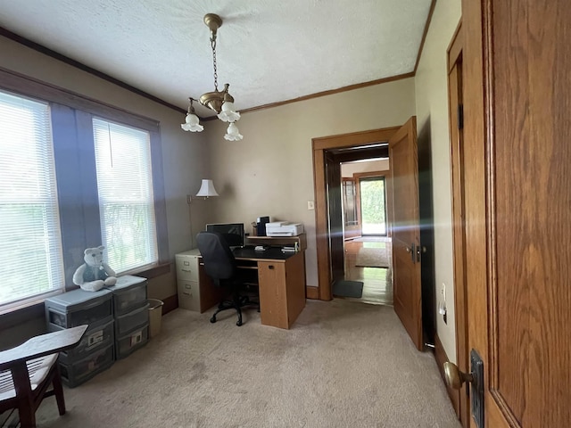 155 E St, Masontown, WV 26542 - office with ornamental molding, a chandelier, light colored carpet, and a textured ceiling