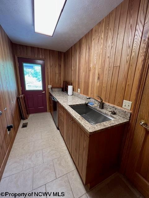 677 Dylan Rd, Elkins, WV 26241 - laundry area with a sink and wooden walls