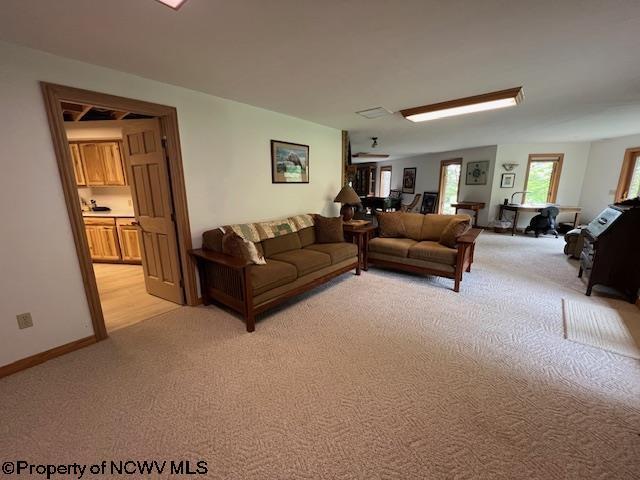 677 Dylan Rd, Elkins, WV 26241 - living room with light carpet and baseboards