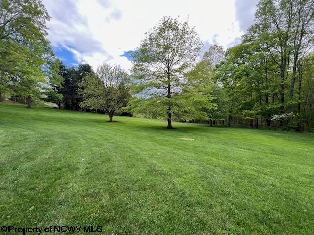 677 Dylan Rd, Elkins, WV 26241 - view of green lawn