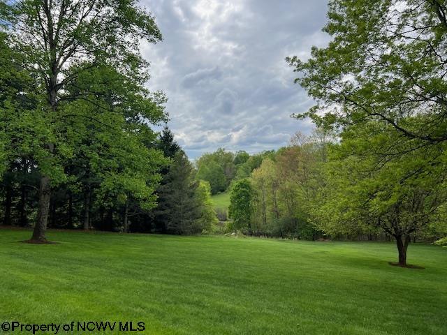 677 Dylan Rd, Elkins, WV 26241 - view of green lawn featuring a wooded view
