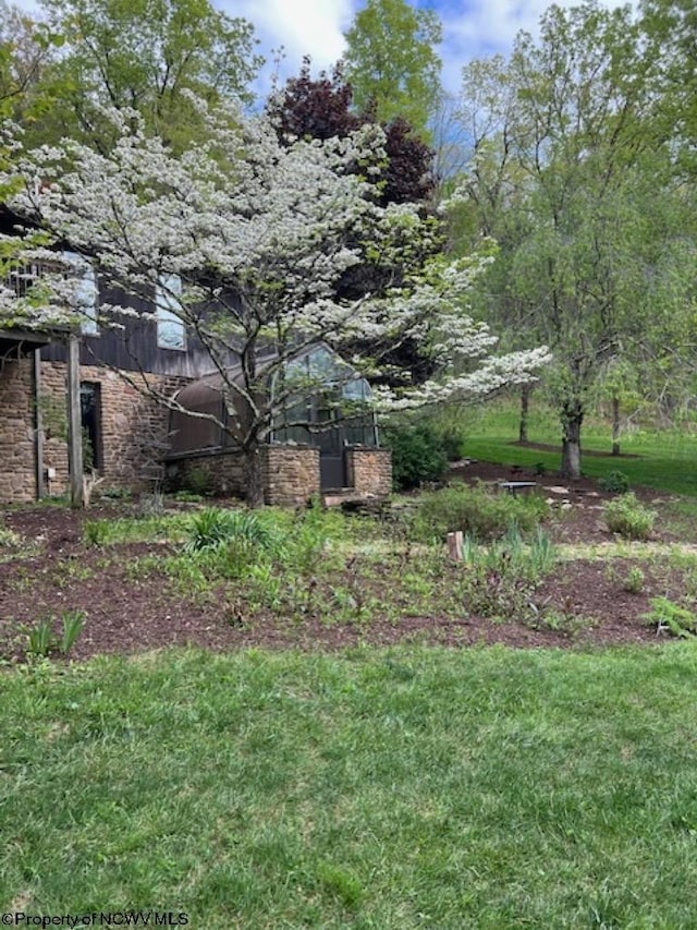 677 Dylan Rd, Elkins, WV 26241 - view of grassy yard