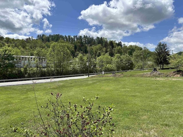 29 Dan St, Hepzibah, WV 26369 - view of home's community