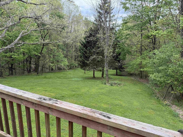 4253 Point Mountain Rd, Monterville, WV 26282 - view of grassy yard