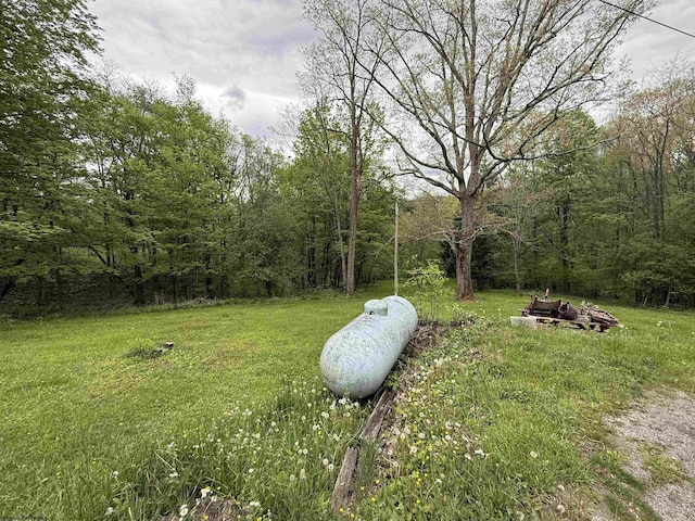 4253 Point Mountain Rd, Monterville, WV 26282 - view of green lawn featuring a wooded view