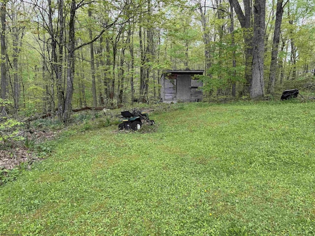 4253 Point Mountain Rd, Monterville, WV 26282 - view of green lawn featuring an outbuilding and a view of trees