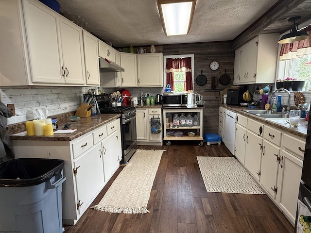 4253 Point Mountain Rd, Monterville, WV 26282 - kitchen with gas stove, a sink, under cabinet range hood, white dishwasher, and stainless steel microwave