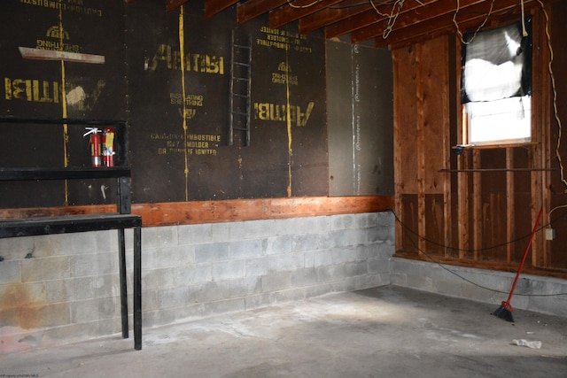 unfinished below grade area with concrete block wall