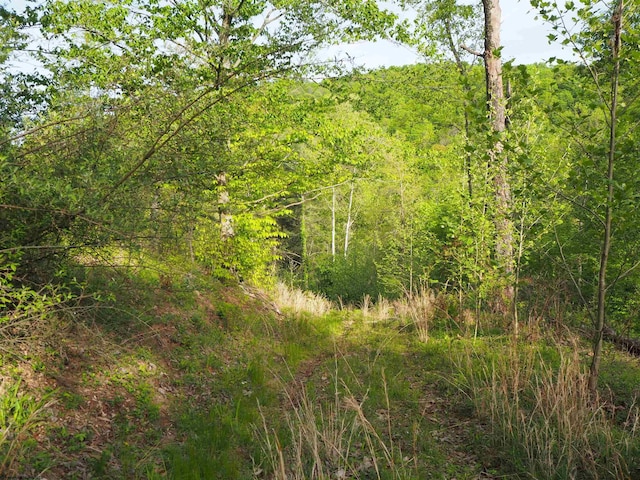 50 Wine Ln, West Union, WV 26456