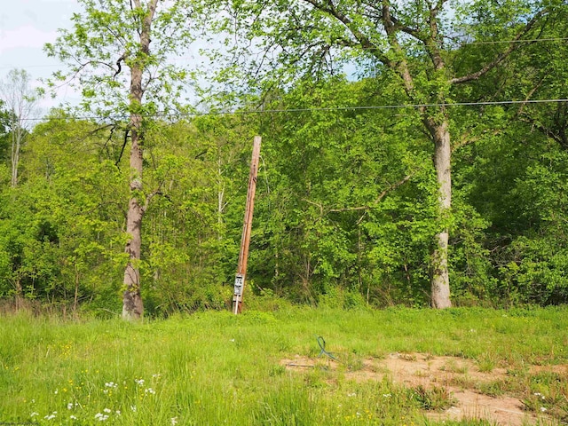 50 Wine Ln, West Union, WV 26456