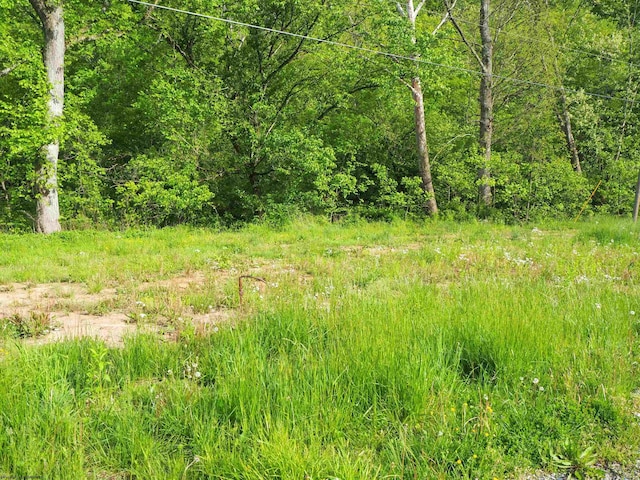 50 Wine Ln, West Union, WV 26456