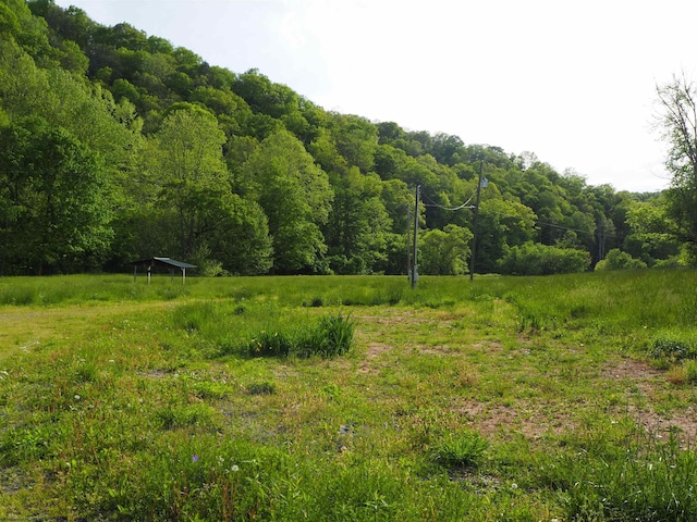 50 Wine Ln, West Union, WV 26456