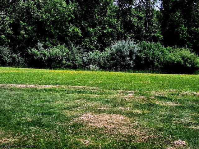 view of green lawn