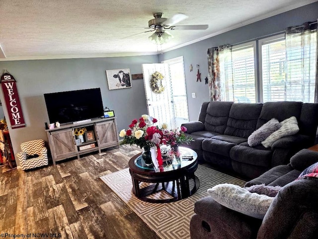 living area with wood finished floors, a ceiling fan, a textured ceiling, and crown molding