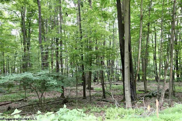 LOTS153-154 Clover Dr, Terra Alta, WV 26764