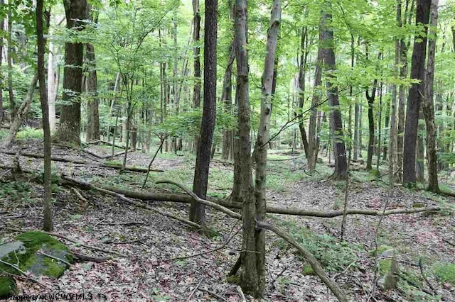 LOTS153-154 Clover Dr, Terra Alta, WV 26764