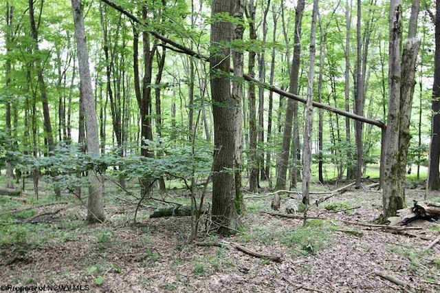LOTS153-154 Clover Dr, Terra Alta, WV 26764
