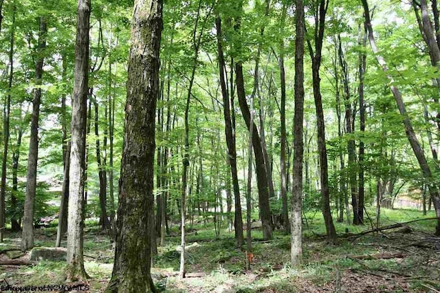 LOTS153-154 Clover Dr, Terra Alta, WV 26764