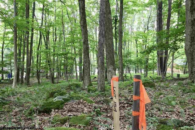 LOTS153-154 Clover Dr, Terra Alta, WV 26764