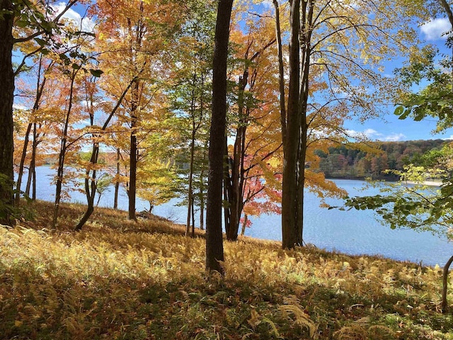 LOTS153-154 Clover Dr, Terra Alta, WV 26764