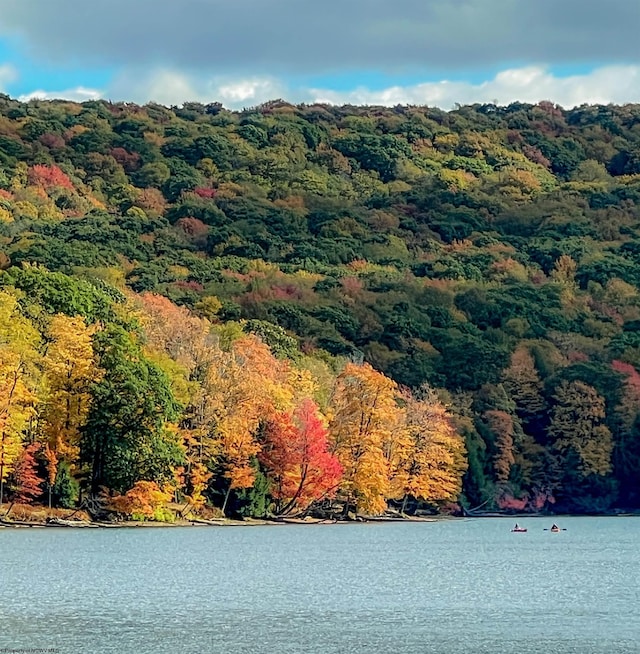 LOTS153-154 Clover Dr, Terra Alta, WV 26764