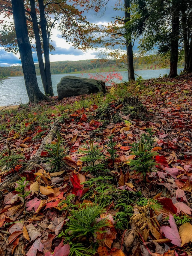LOTS153-154 Clover Dr, Terra Alta, WV 26764