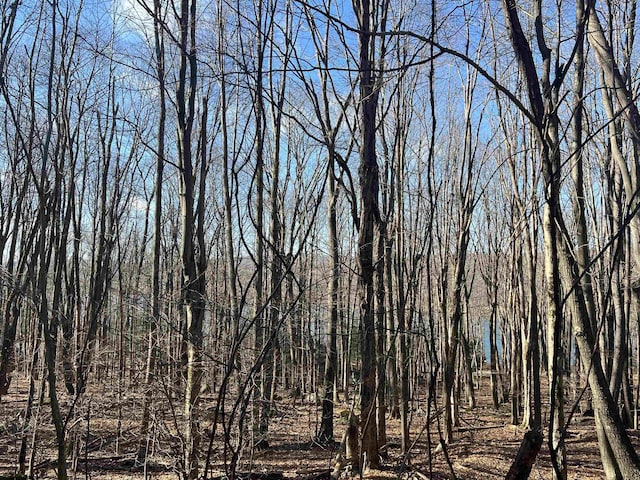 LOTS153-154 Clover Dr, Terra Alta, WV 26764