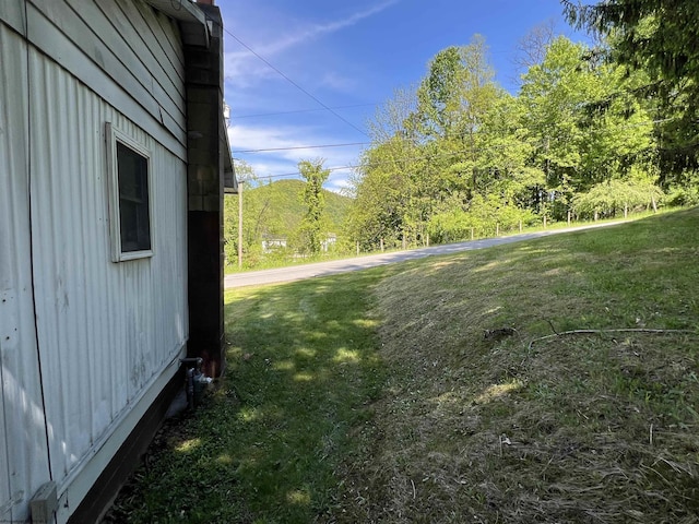 302 Jameson Ave, Parsons, WV 26287 - view of grassy yard