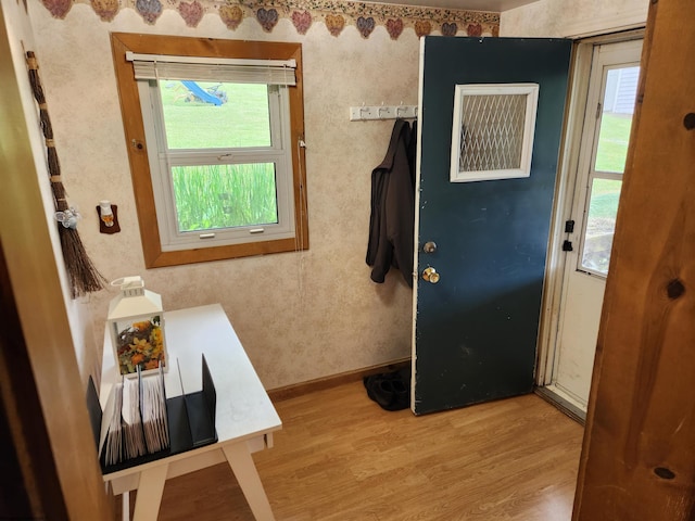784 Ona St, Grafton, WV 26354 - foyer entrance with light wood-type flooring, plenty of natural light, and baseboards