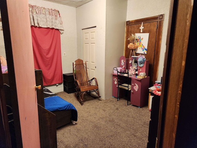 784 Ona St, Grafton, WV 26354 - bedroom featuring carpet and a textured ceiling