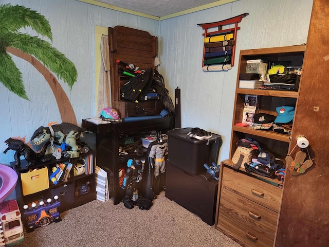 784 Ona St, Grafton, WV 26354 - carpeted bedroom with wooden walls