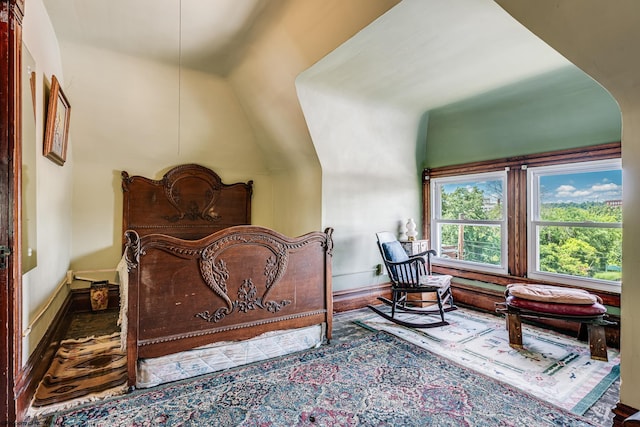 bedroom featuring lofted ceiling