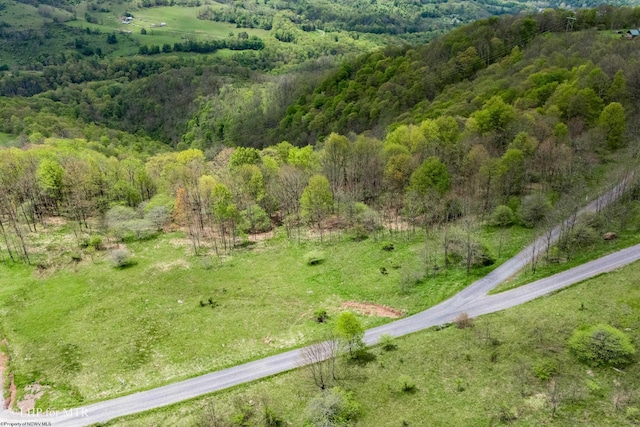 28 Meadows Rd W, Harman, WV 26270