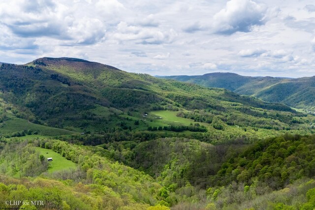 28 Meadows Rd W, Harman, WV 26270