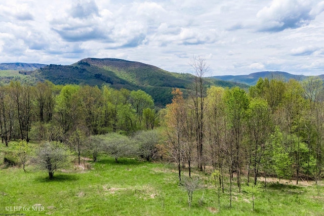 28 Meadows Rd W, Harman, WV 26270