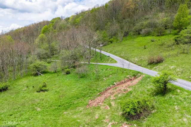 28 Meadows Rd W, Harman, WV 26270
