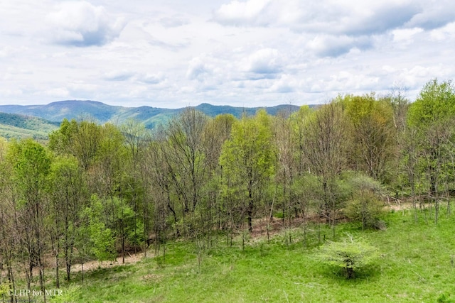 28 Meadows Rd W, Harman, WV 26270