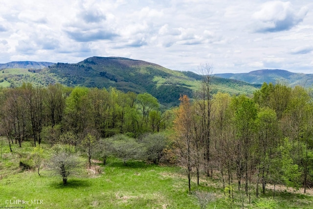 28 Meadows Rd W, Harman, WV 26270