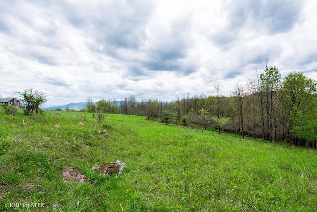 28 Meadows Rd W, Harman, WV 26270