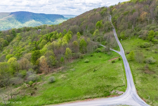 28 Meadows Rd W, Harman, WV 26270