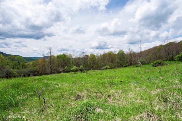 28 Meadows Rd W, Harman, WV 26270
