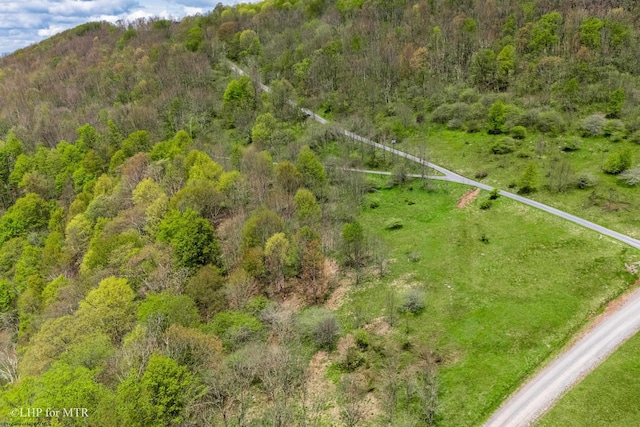 28 Meadows Rd W, Harman, WV 26270
