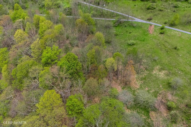 28 Meadows Rd W, Harman, WV 26270